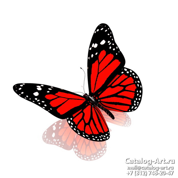  Butterflies 116